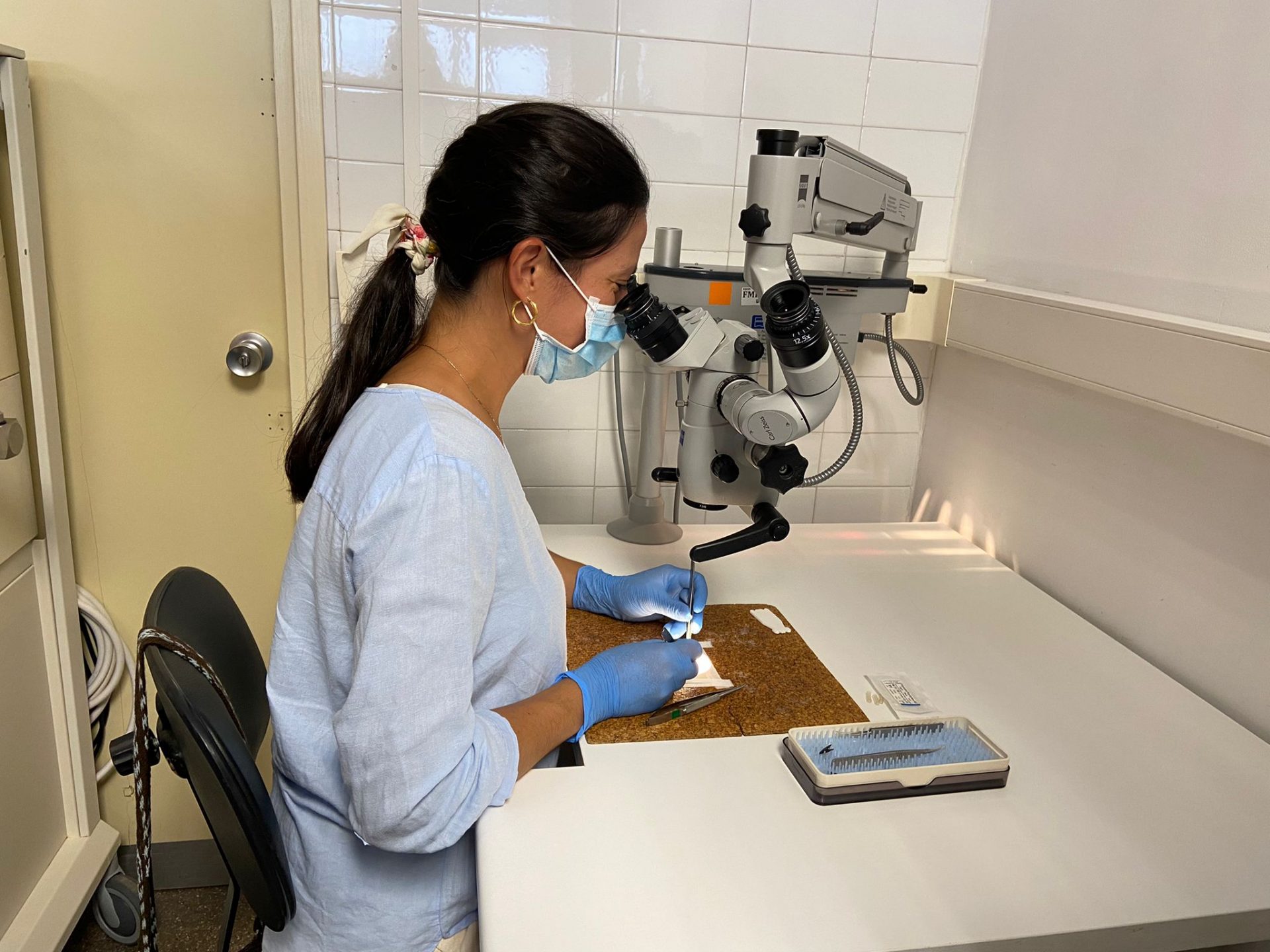 Els assistents han realitzat una visita a les instal·lacions de recerca